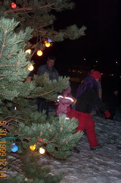 Juletre  2005   