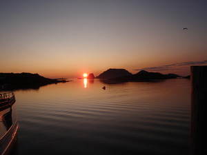 Midnattsol