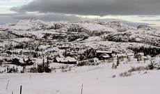 IMG_5679_630_cropped_82x0
