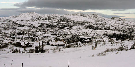 IMG_5679_630_cropped_82x0