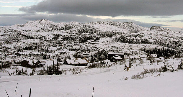IMG_5679_630_cropped_82x0