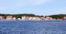 Herfol_Hvaler