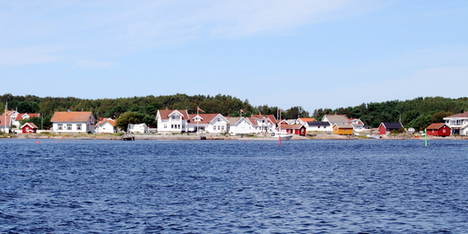 Herfol_Hvaler