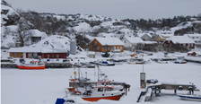 Ula_vinter