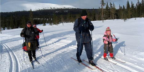 Skismoering