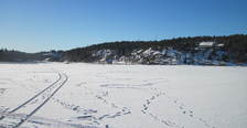 Husebukta_Hanko_640x350