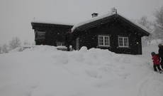 Fjellsnaret_640x427