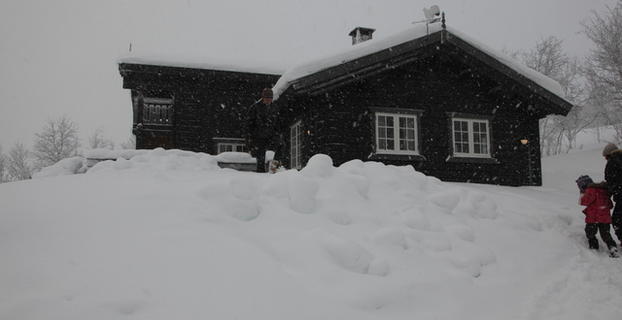 Fjellsnaret_640x427