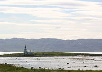 fjæretur