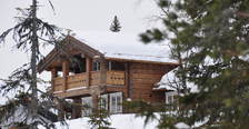 villmark_640x425