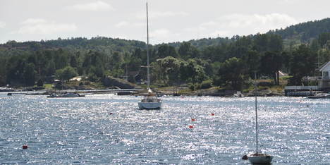 Jakt_i_skjargarden_640x377