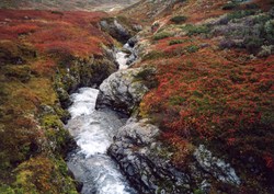 Kvammadalselvi 03.10.00. Foto Håkon Loven
