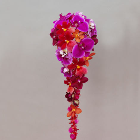 rosa orchidee