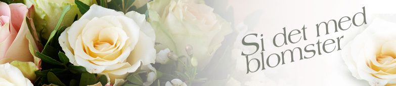 Blomster