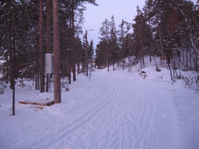 Nerskogen+IL%2C+lysl%C3%B8ype+Saga+lysl%