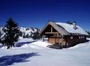 UT hytte_545x400