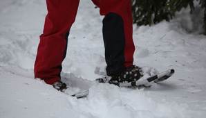 Truger01_640x427