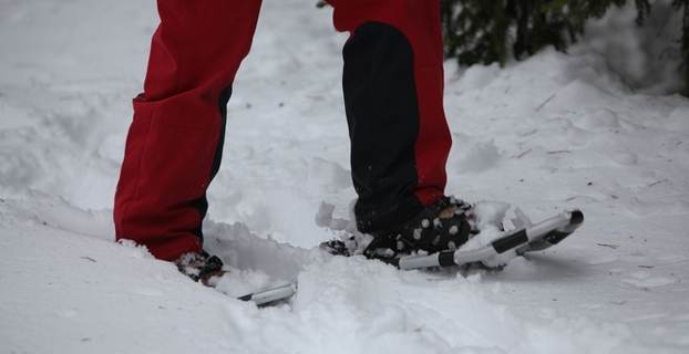 Truger01_640x427