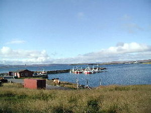 Gressjorde mot sjø, fiskehavn, fiskeskøyter, rødt hus, høst