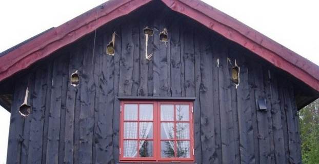 Hakkespetthytte_640x360