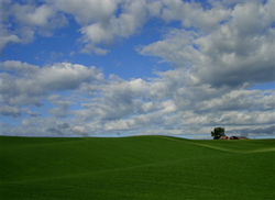 Landskap, Fotograf: Eide, Bo, Copyright: Trøgstad kommune