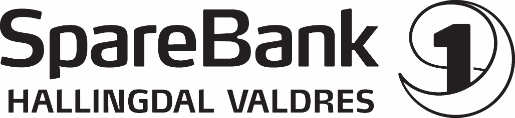 SB1 Hallingdal Valdres uten