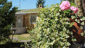 blomster krukke 3