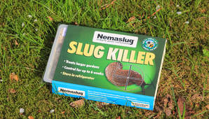 Nemaslug