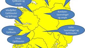 Stedsegent frø - Sør Norge - tilgjengelig fjellfrø