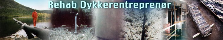 Rehab Dykkerentreprenør