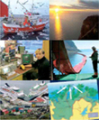 Næringsstrategier i Nordkapp