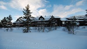 hovdestøylen2