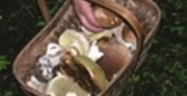 1157699588