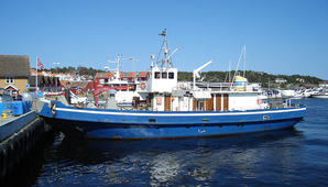 hollungen