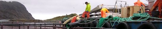 Temabilde næringsliv Temabilde næringsliv