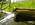 vann fra renne_300x225
