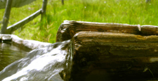 vann fra renne_300x225