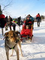 Pics: Finnmarksløpet