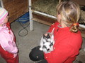 Pics: Miljøuka 2008, Stengelsen gård