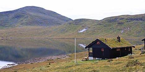 IMG_4545_468