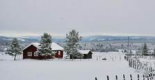 IMG_7256_468