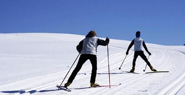 Skieur de fond Skieur de fond