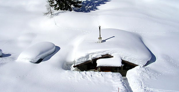 winter