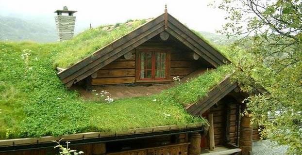 Torvtak[1]_630x473