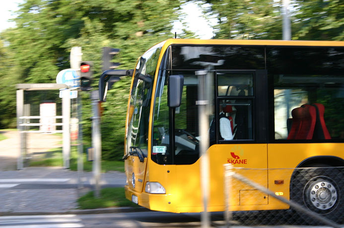 buss buss