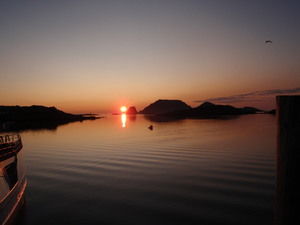 Midnattsol