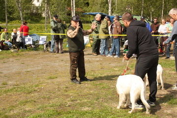 Utstilling 2009_400x267