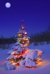Julehilsen