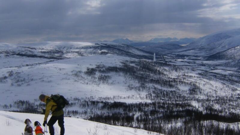 Senjaprøven april 2008