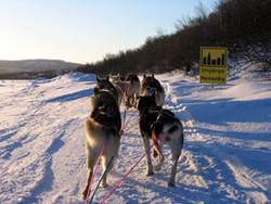 Finnmarkslopet